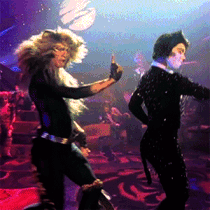 mr. mistoffelees & the rum tum tugger ⋆ cats